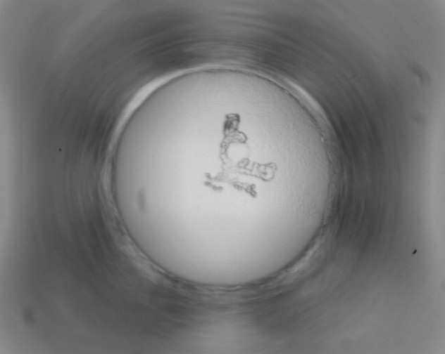 X0000113100956200910091137