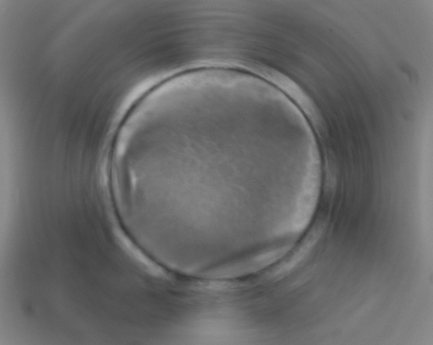 X0000113100958200910091137