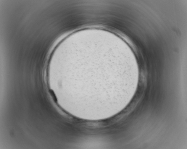 X0000113100959200910091137