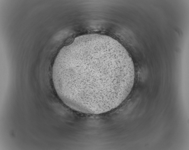 X0000113100961200910091136