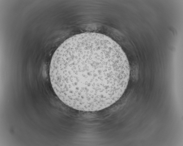 X0000113100962200910091136