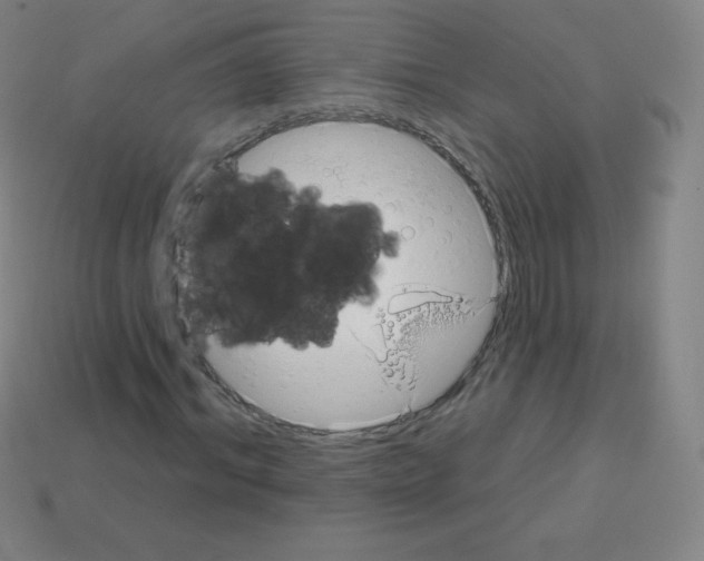 X0000113100964200910091136