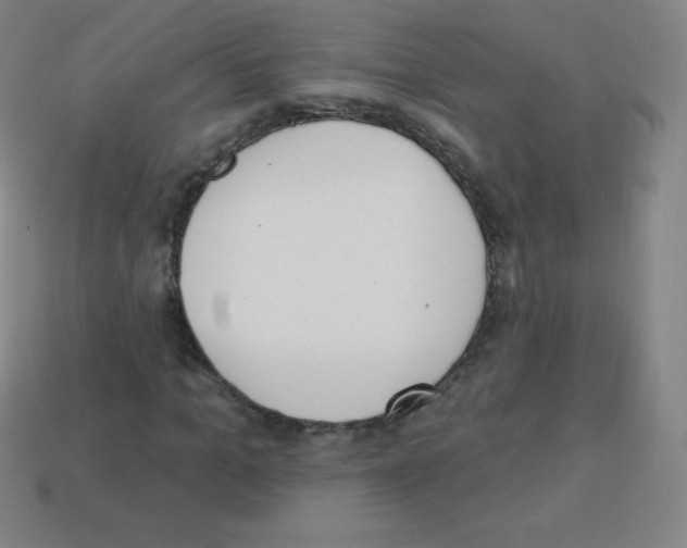 X0000113100965200910091136