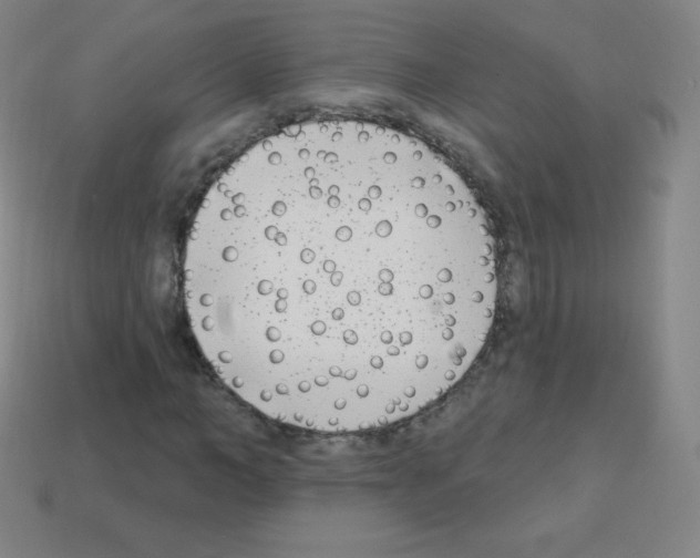 X0000113100966200910091136
