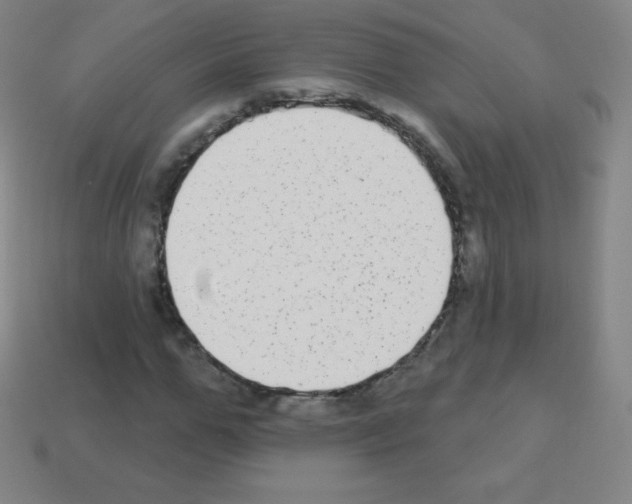 X0000113100967200910091136