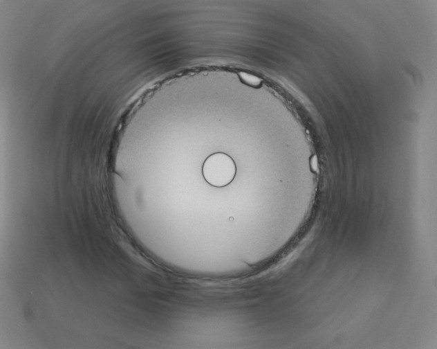 X0000113100969200910091136