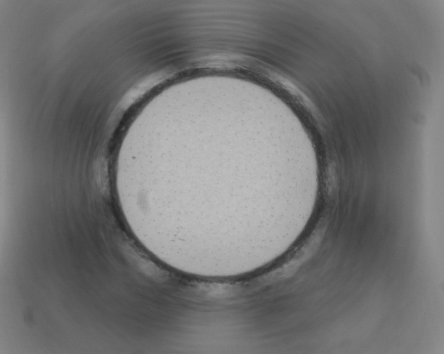 X0000113100970200910091136