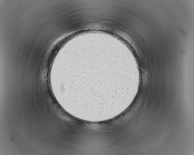 X0000113100971200910091136