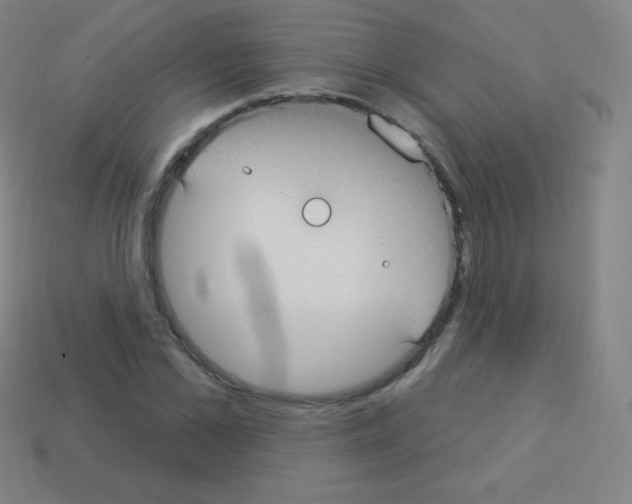 X0000113100973200910091136