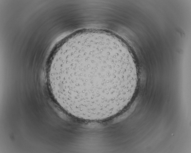 X0000113100974200910091136