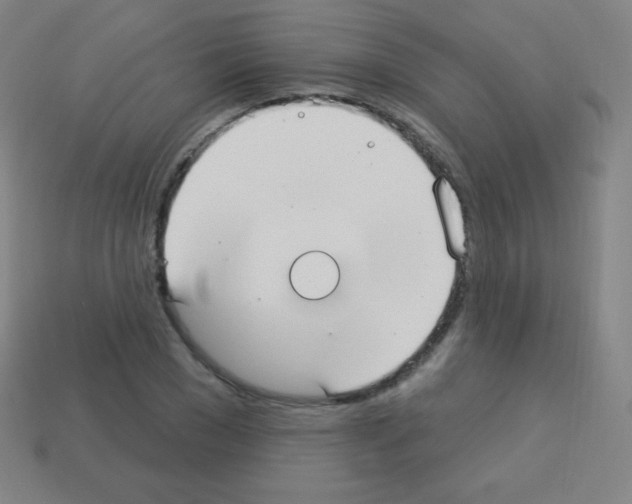 X0000113100977200910091136