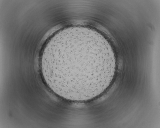 X0000113100978200910091136