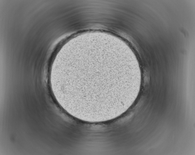 X0000113100979200910091136