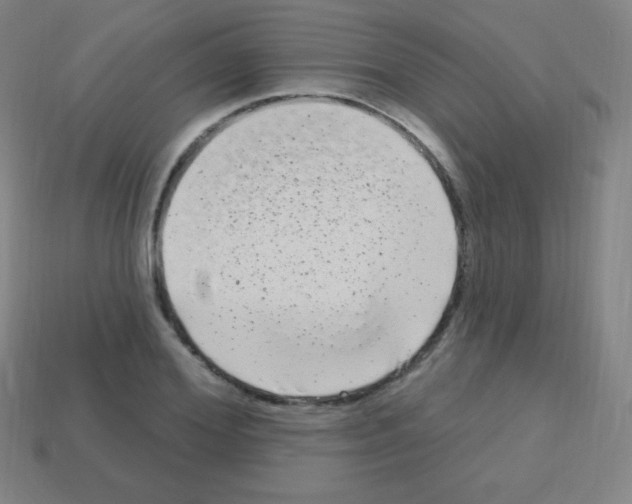X0000113100980200910091136