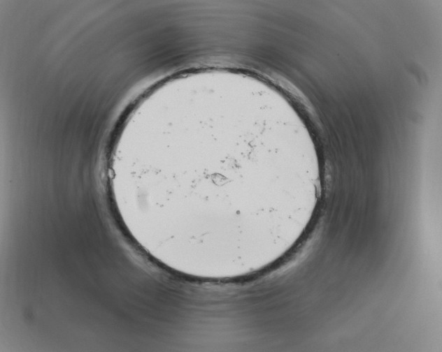 X0000113100981200910091136