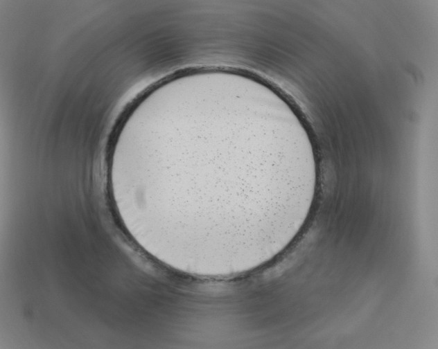 X0000113100982200910091136