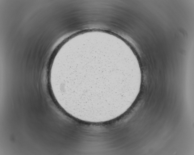 X0000113100983200910091136