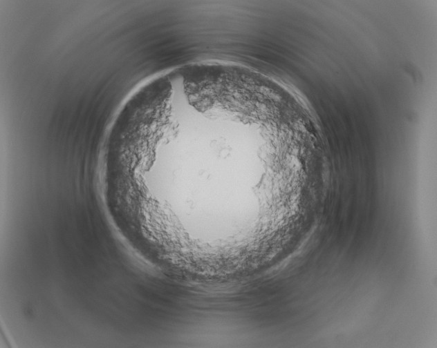 X0000113100984200910091136