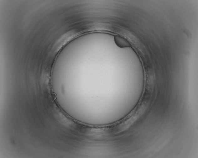 X0000113100985200910091136