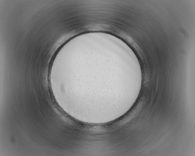 X0000113100986200910091136