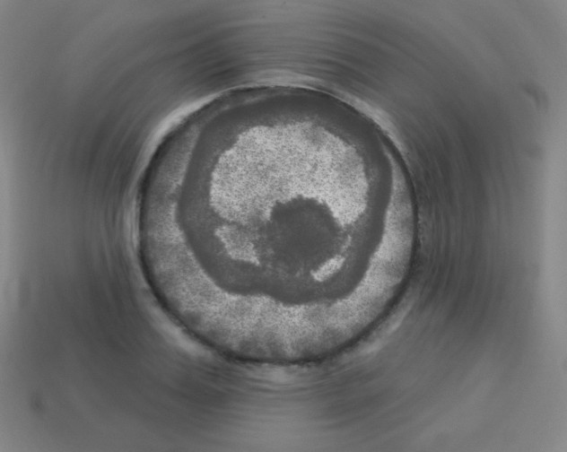 X0000113100987200910091136