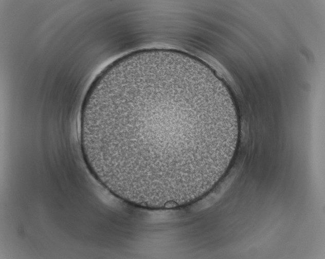 X0000113100988200910091136