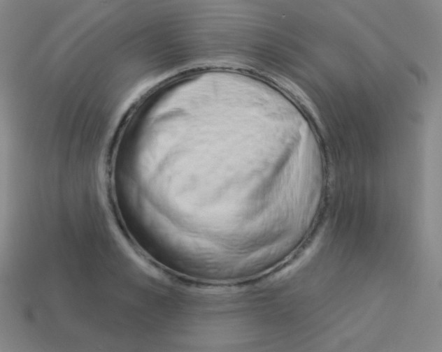 X0000113100989200910091136