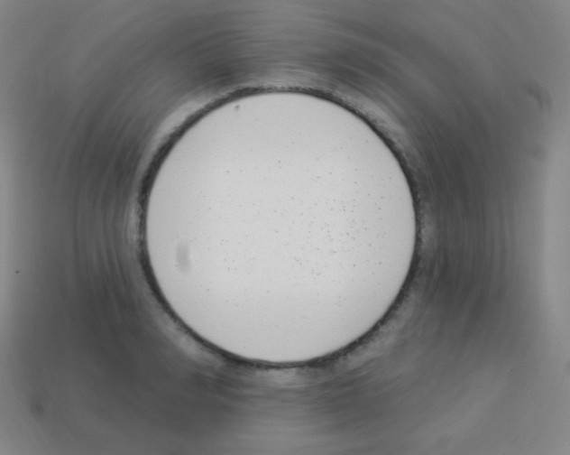 X0000113100990200910091136