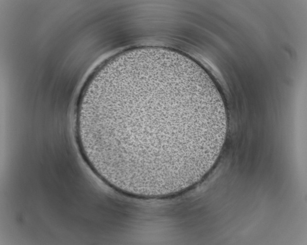X0000113100992200910091136