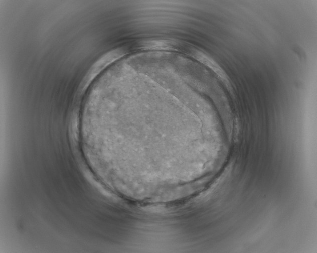 X0000113100994200910091136