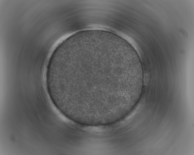 X0000113100995200910091136