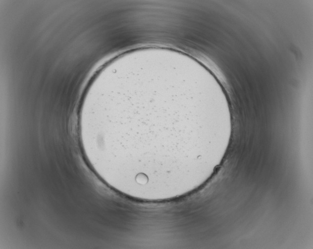 X0000113100996200910091136