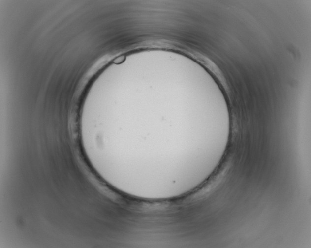 X0000113100997200910091135