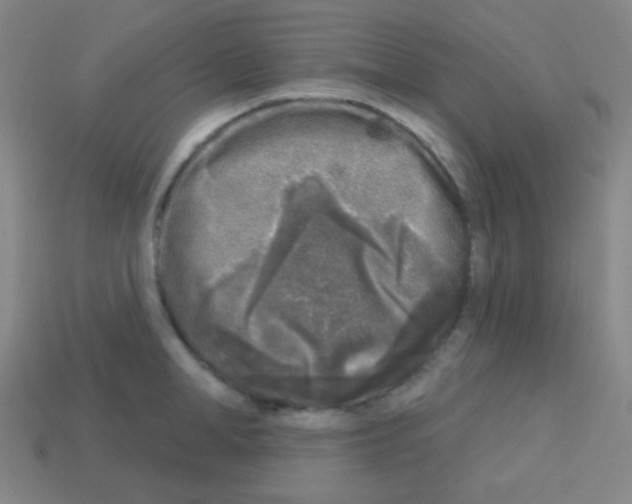 X0000113100998200910091135