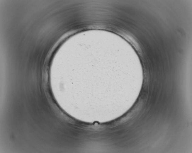 X0000113101000200910091135