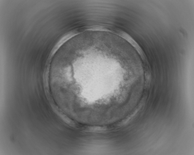 X0000113101002200910091135