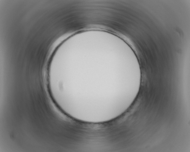 X0000113101003200910091135