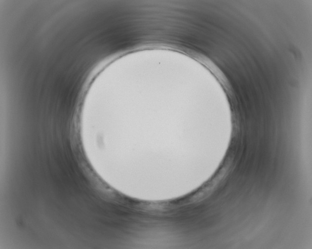 X0000113101004200910091135
