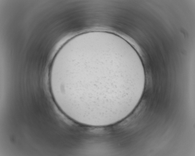 X0000113101006200910091135