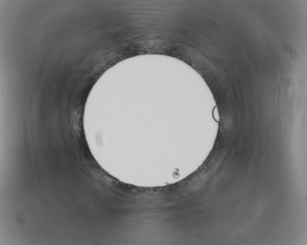 X0000113101010200910091135