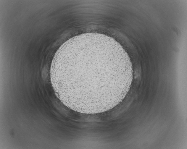 X0000113101011200910091135