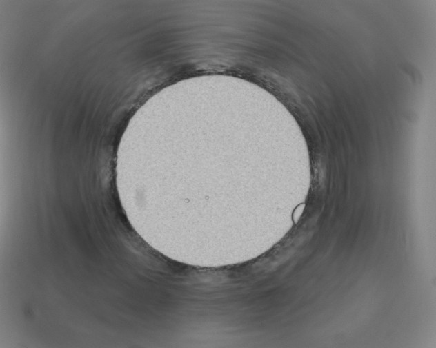 X0000113101012200910091135