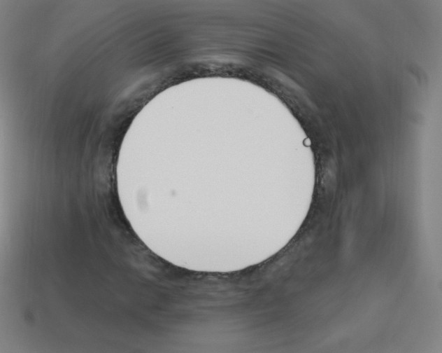 X0000113101014200910091135