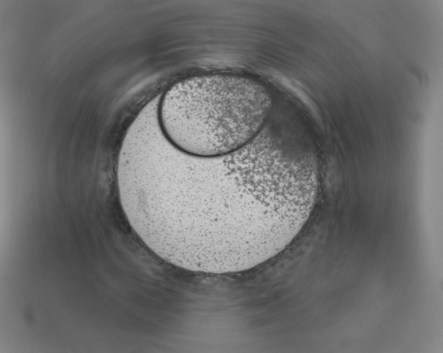 X0000113101015200910091135