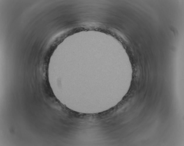X0000113101016200910091135