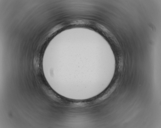 X0000113101017200910091135
