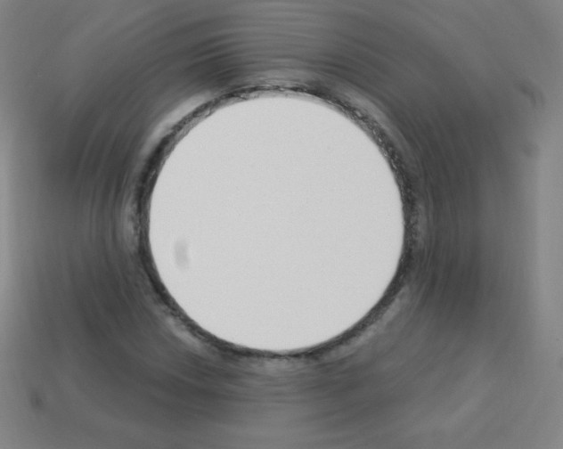 X0000113101018200910091135