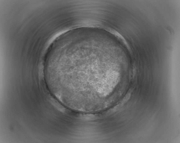 X0000113101019200910091135