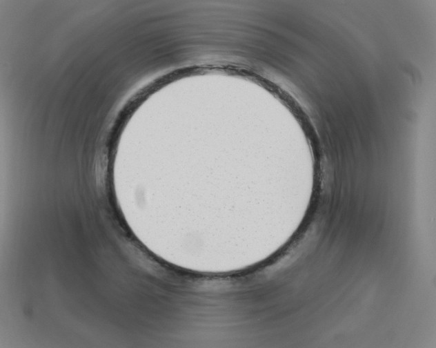 X0000113101021200910091135