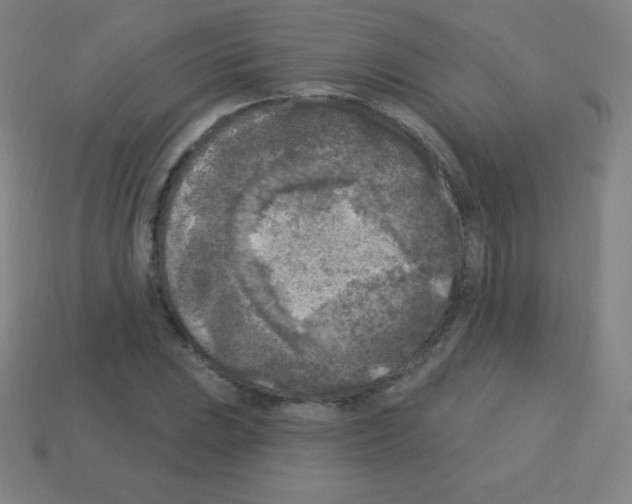 X0000113101023200910091135